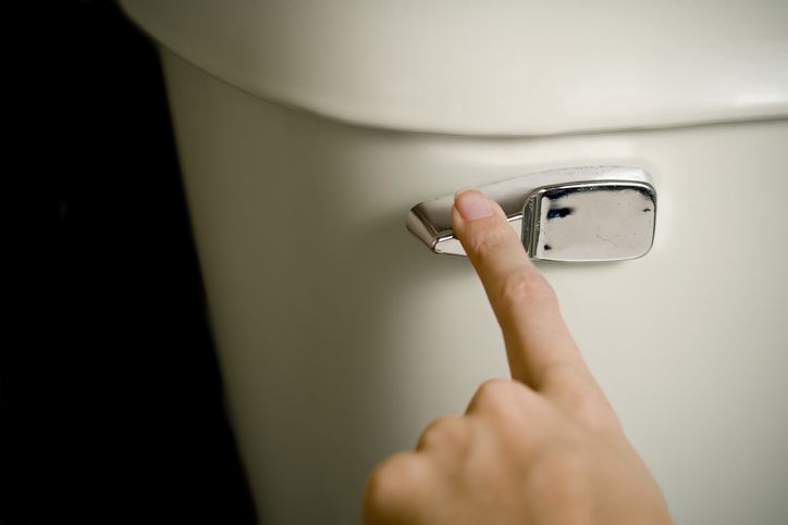 How To Flush The Toilet When The Water Is Off